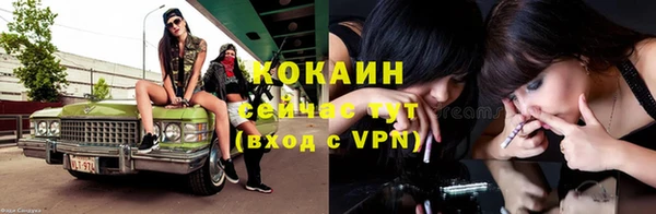 индика Белокуриха