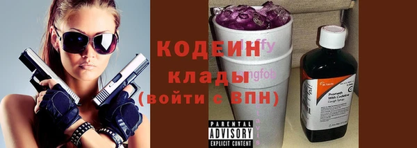 индика Белокуриха