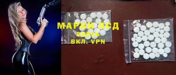 индика Белокуриха