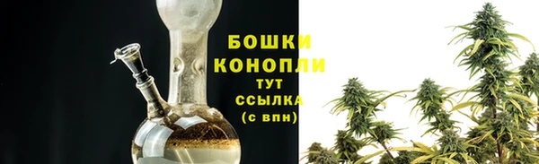 индика Белокуриха