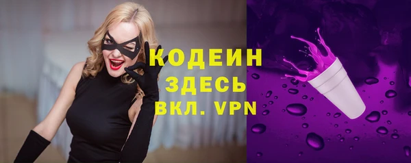 индика Белокуриха