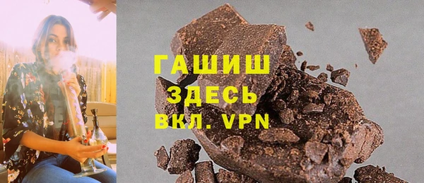индика Белокуриха