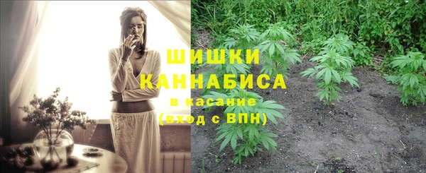 индика Белокуриха