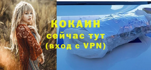 индика Белокуриха